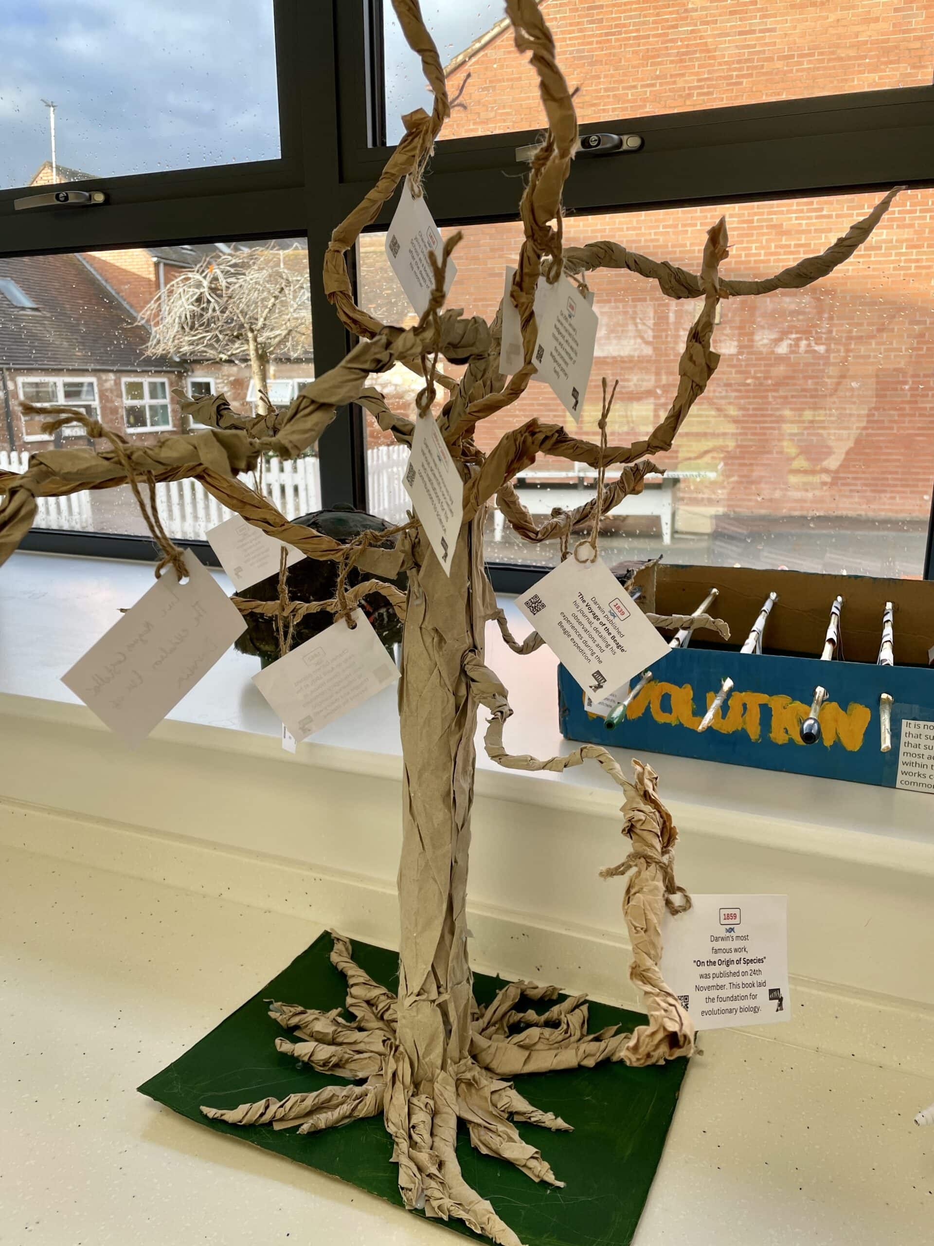 A model of a tree with facts about Darwin hanging from its branches