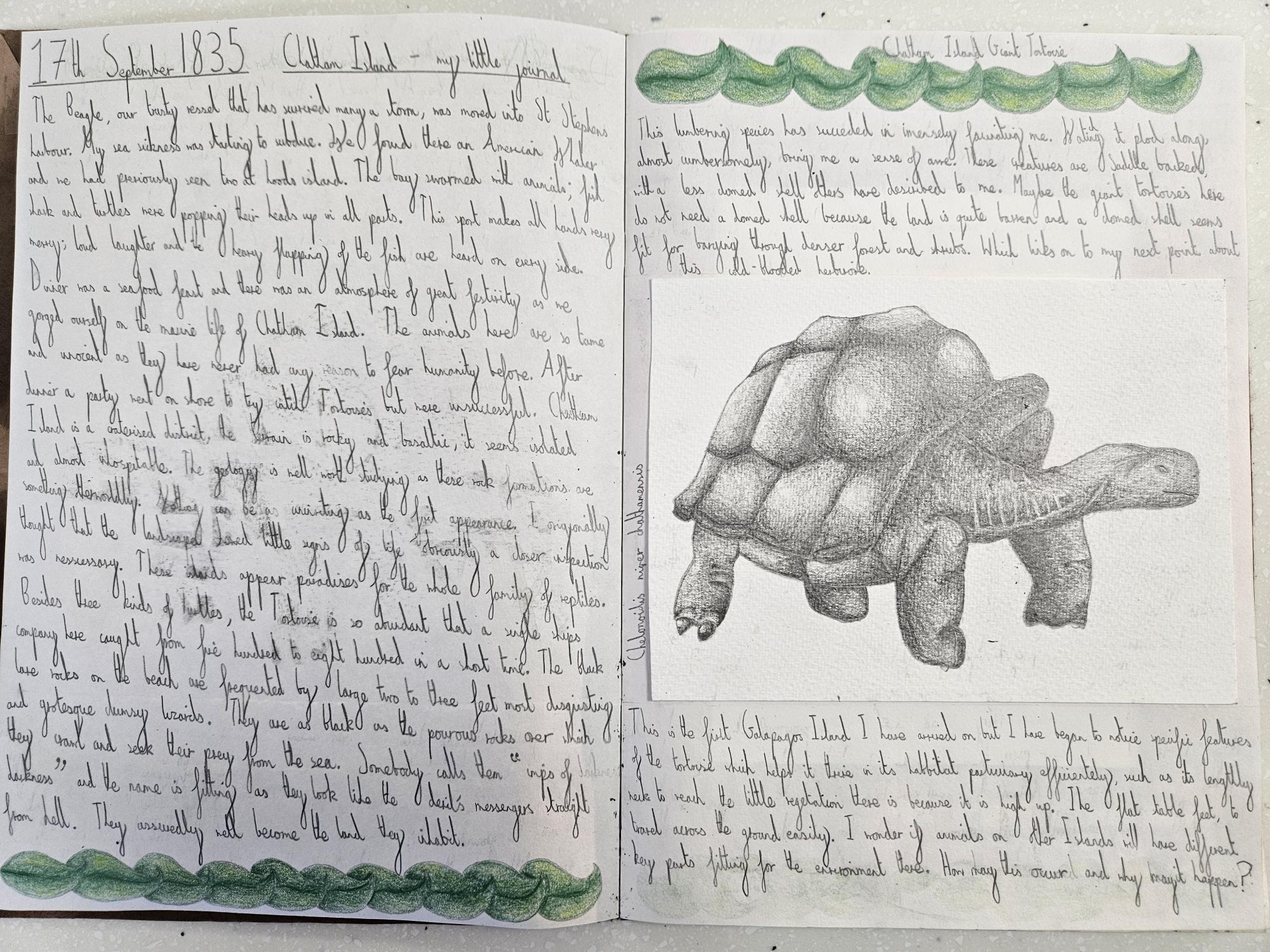 A science project with a beautiful sketch of a tortoise