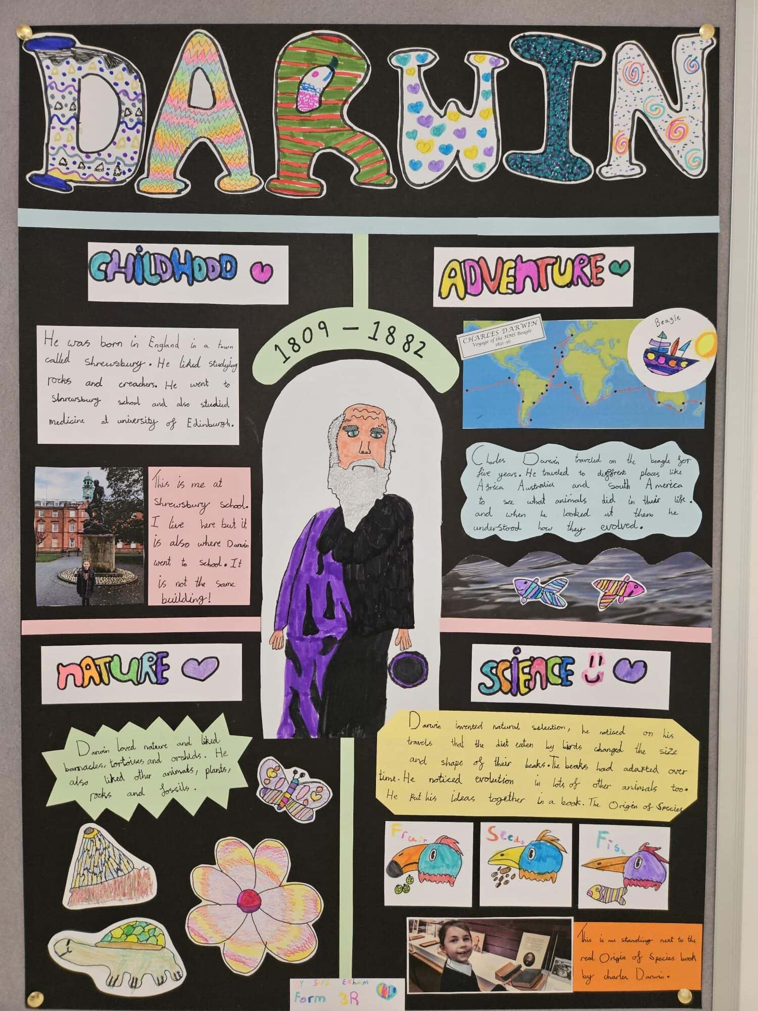 A colourful poster with facts about Charles Darwin