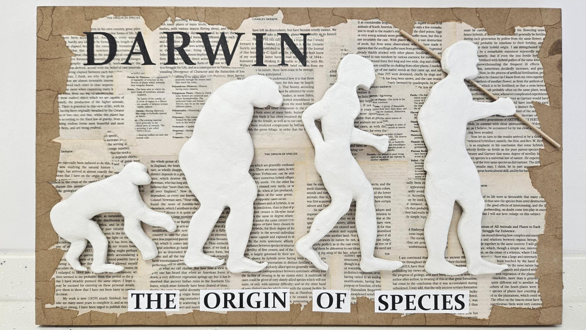 A piece of artwork based on Charles Darwin made for a science project